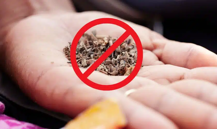 Chewing tobacco to be strictly avoided