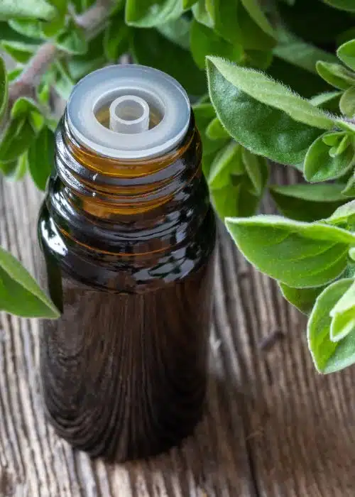 Oil Of Oregano For Gum Disease Best Oils for Gum Health: Remedies to Reduce Gum Inflammation